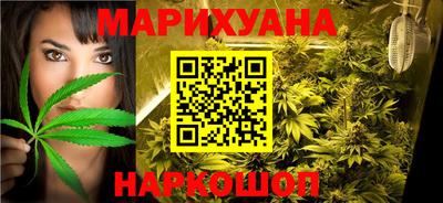 сатива Бузулук